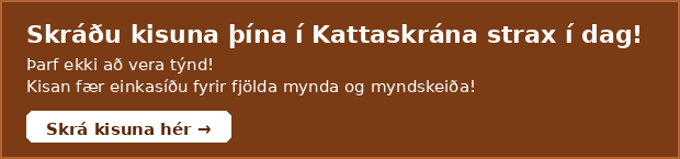 Skráðu kisuna þína