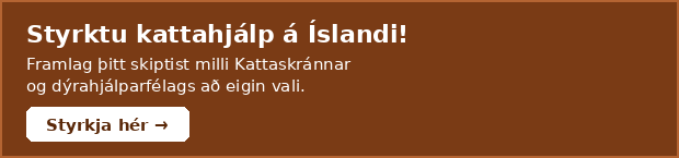 Styrktu kattahjálp