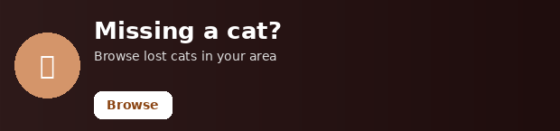 Er kisan þín týnd?