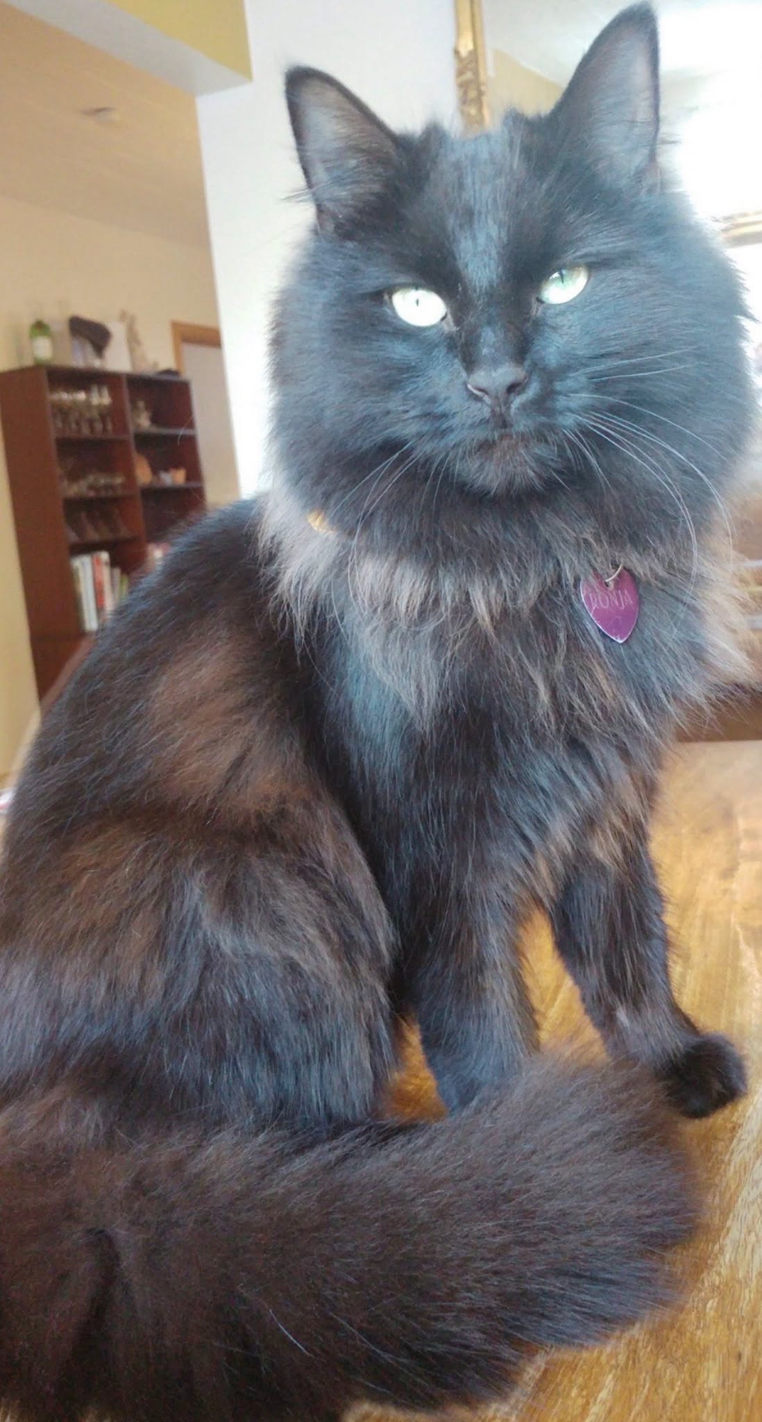 Ronja
