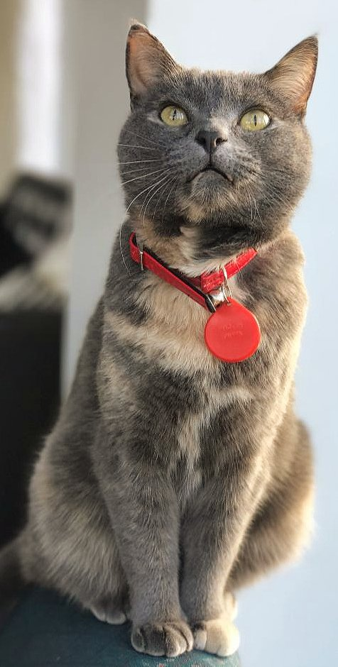 Ronja