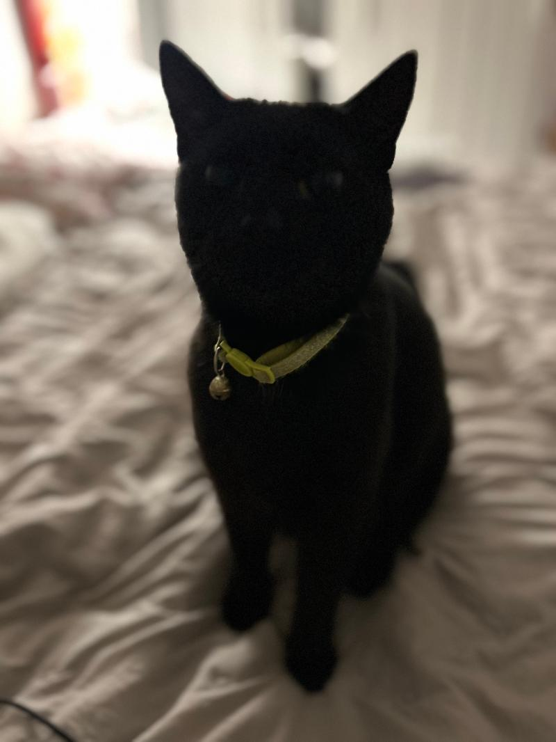 Luna