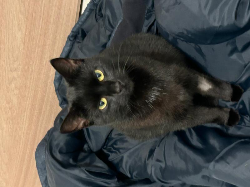Luna