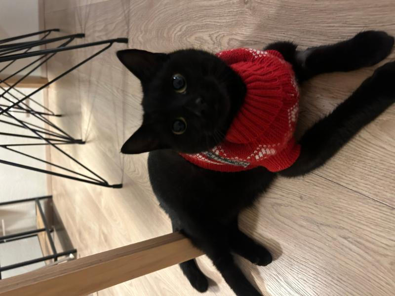 Luna