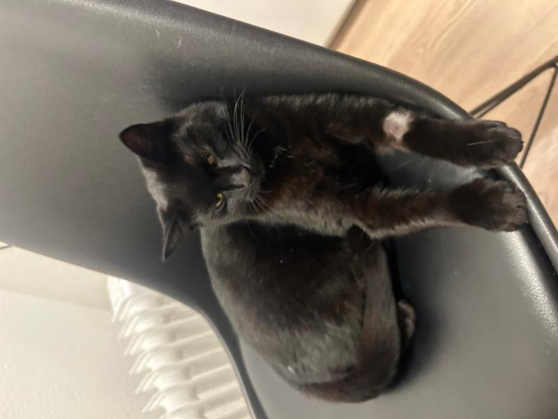 Luna
